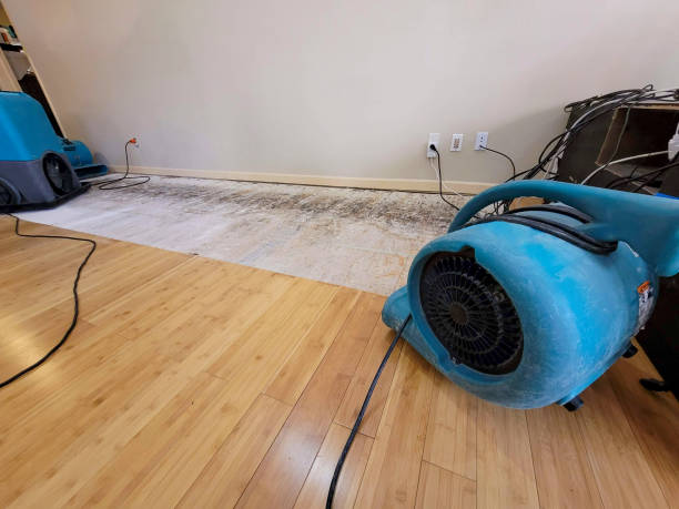 Professional Basement Flood Cleanup technician working in Rushville, IL